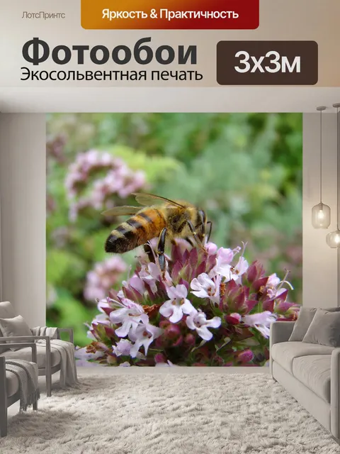 Фотообои Би