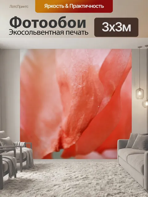 Фотообои Большой цветок