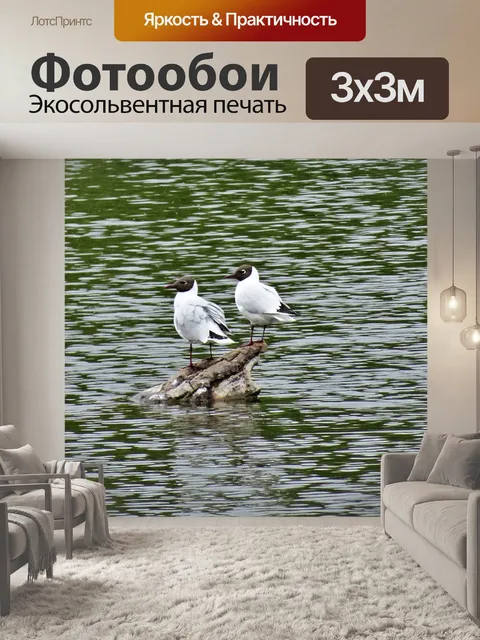 Фотообои Птицы