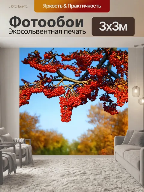 Фотообои дерево рябины с ветвями, увешанными гроздьями красных ягод, изображено в теплом осеннем свете