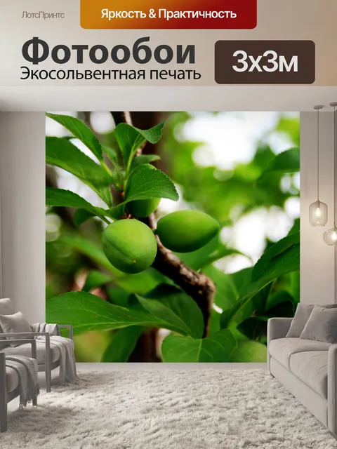 Фотообои Молодые сливами