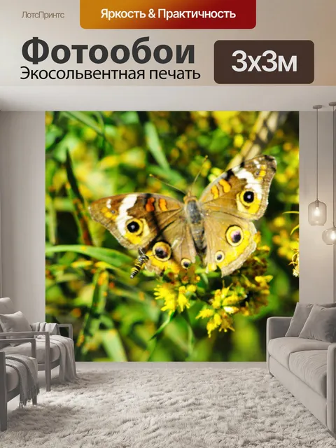 Фотообои Бабочка и Пчела