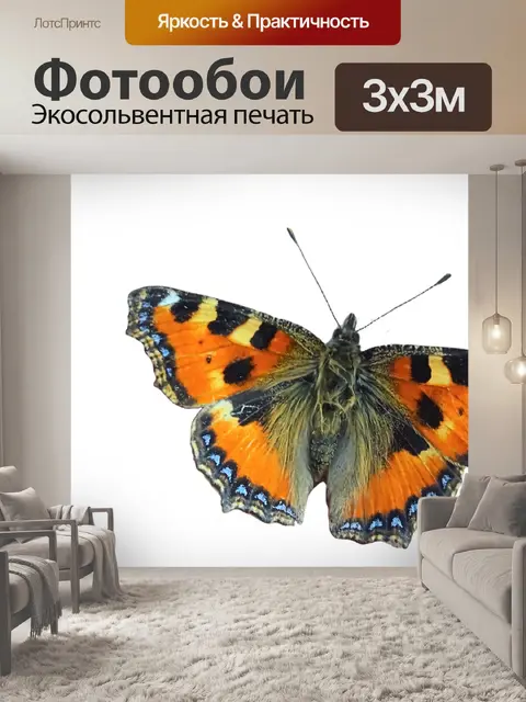 Фотообои Бабочка