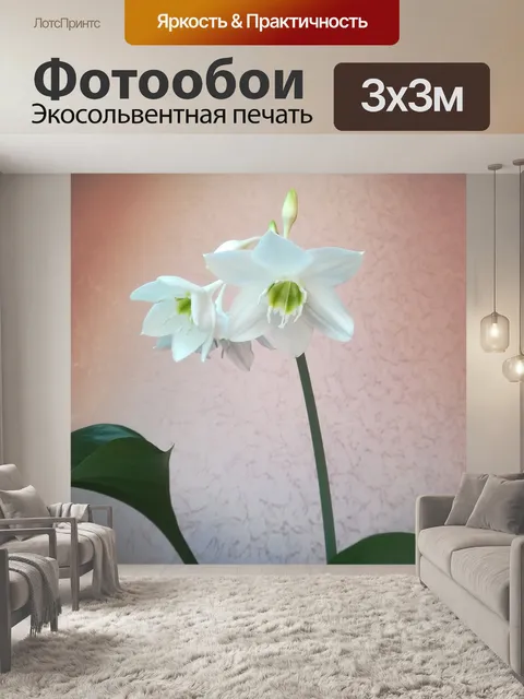 Фотообои Цветы