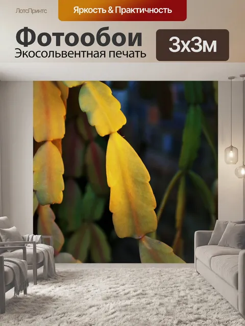 Фотообои Crabclaw сегмент в свете