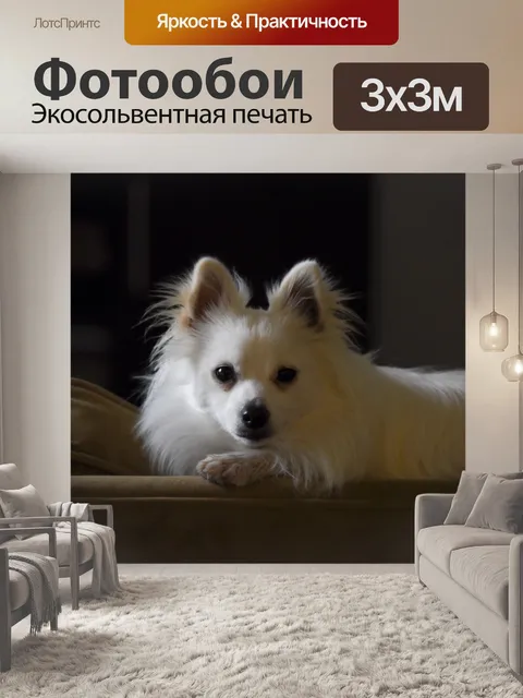 Фотообои Белый Поморское Поставил