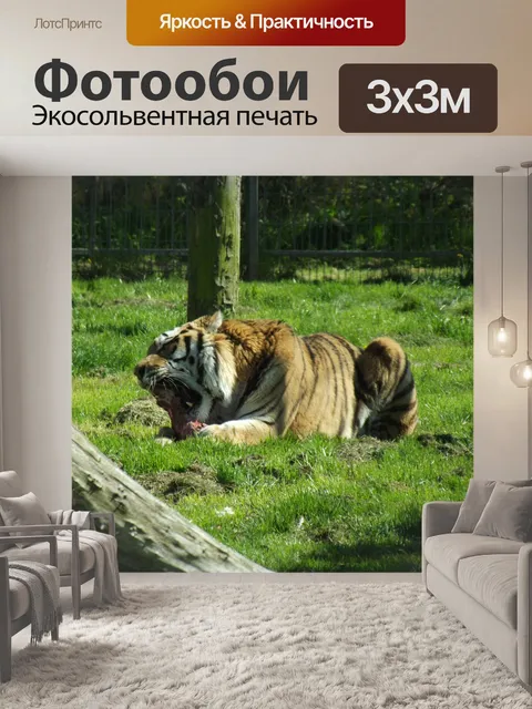 Фотообои Тигр - время кормления