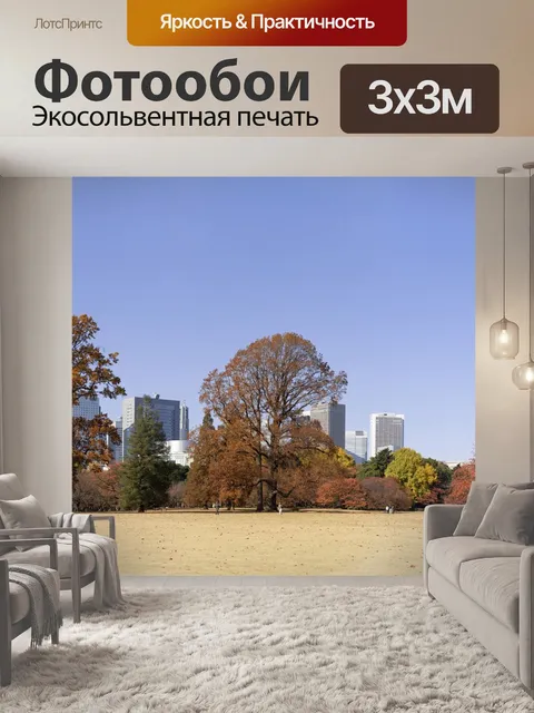 Фотообои Город