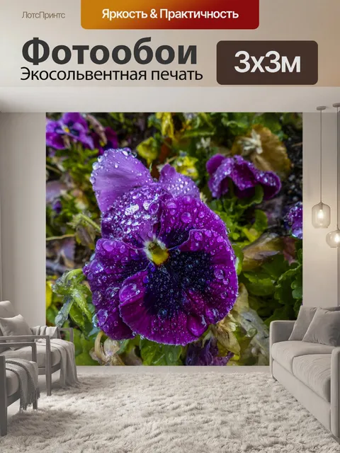 Фотообои Мокрый фиолетовый панси