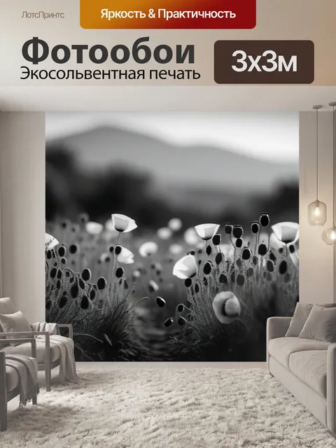 Фотообои с маками чернобелый