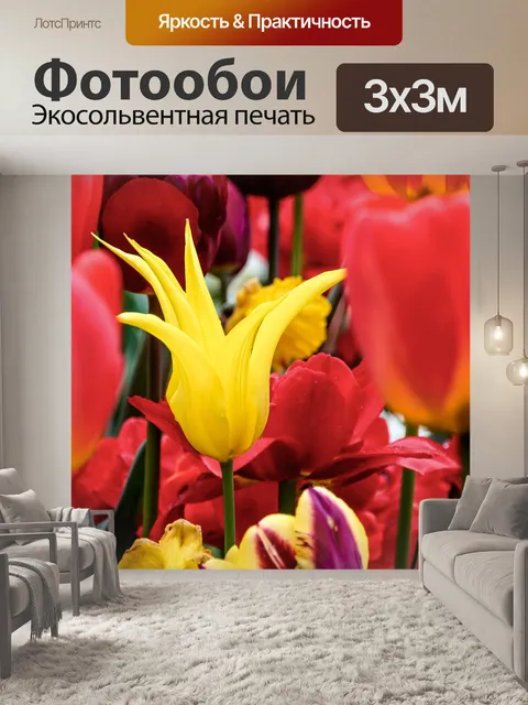Фотообои Тюльпаны
