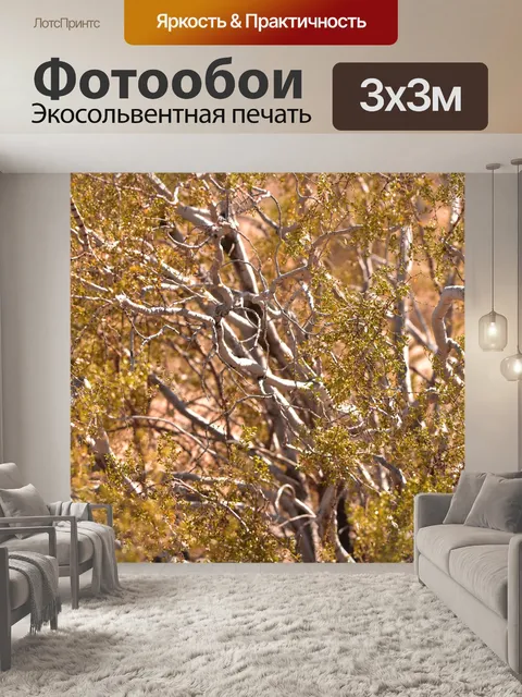 Фотообои Пустынный завод