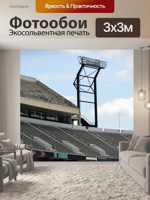 Фотообои Футбольный стадион колледжа