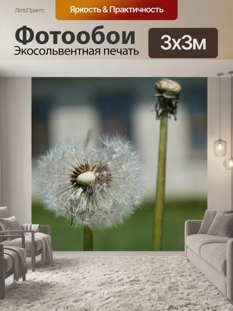 Фотообои Countryside