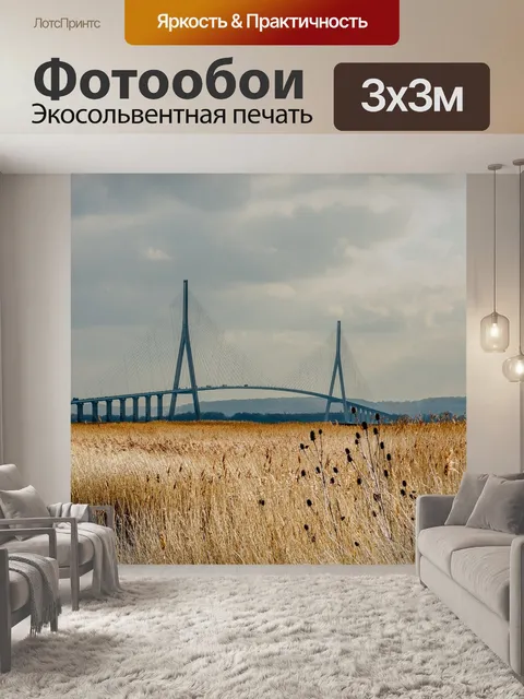 Фотообои Тростник