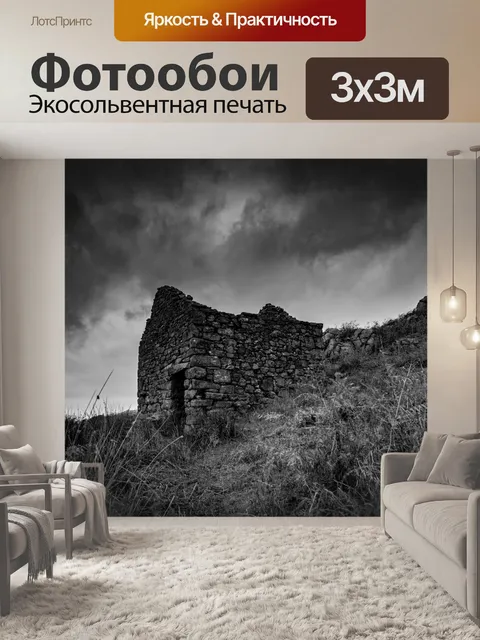 Фотообои Разрушенный навес в поле