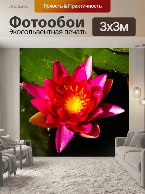 Фотообои цветок лотоса