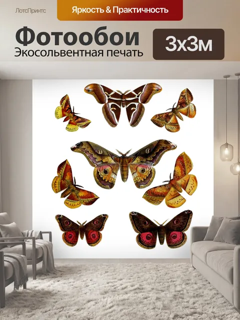 Фотообои Гуляки бабочки искусство