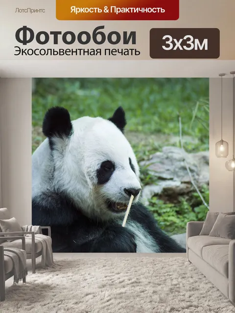 Фотообои Панда
