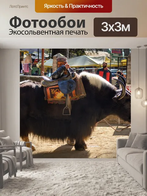 Фотообои Манали