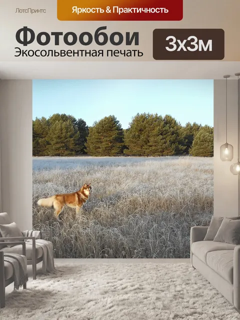 Фотообои Собака