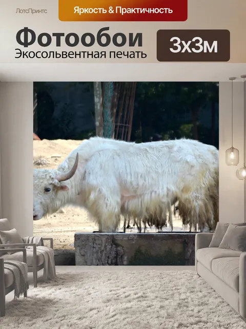 Фотообои Як
