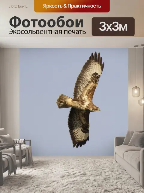 Фотообои Хищник