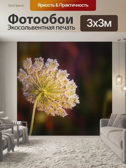 Фотообои Тысячелистник