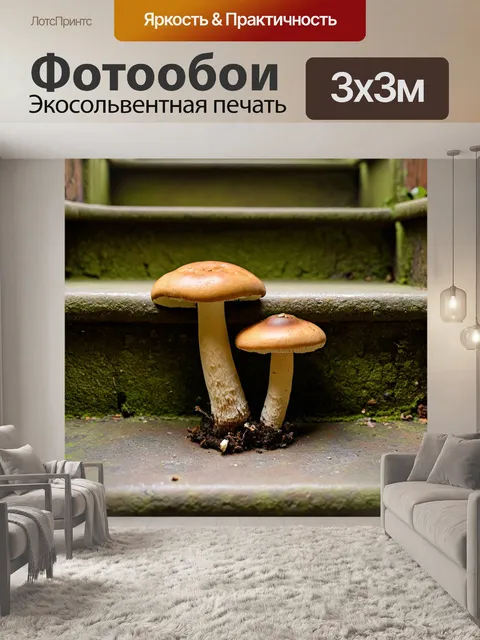 Фотообои грибы, растущие на старой лестнице, окруженные историей и атмосферой старины