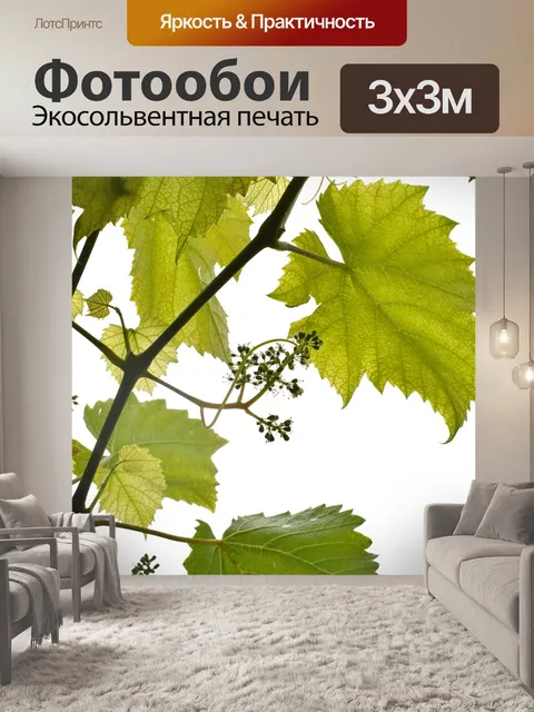 Фотообои White
