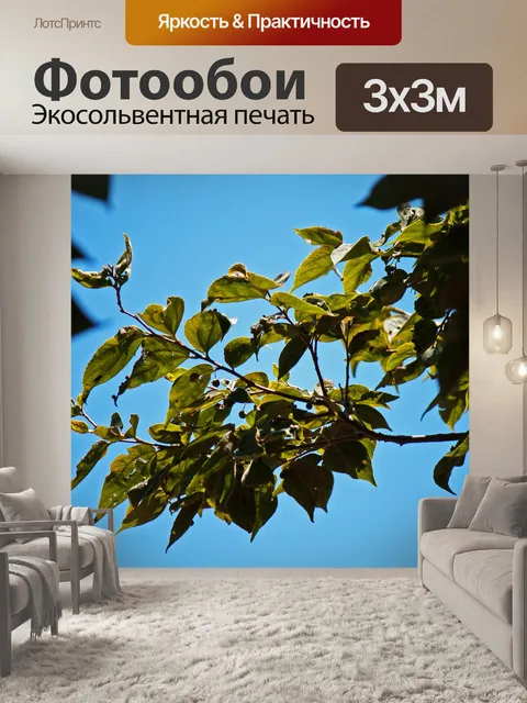 Фотообои Белые смоковые листья и семена