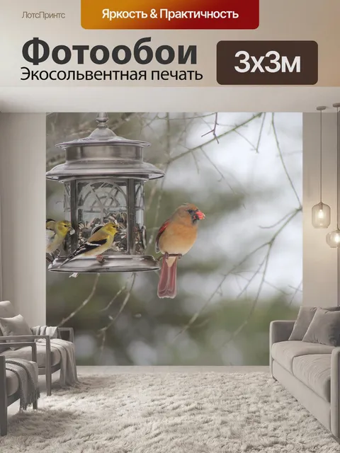 Фотообои Кардинал