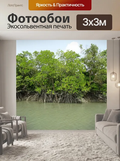 Фотообои Мангровые заросли