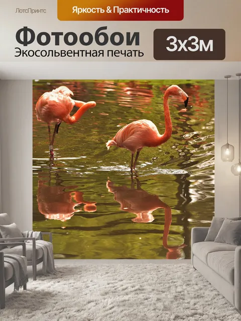 Фотообои Фламинго