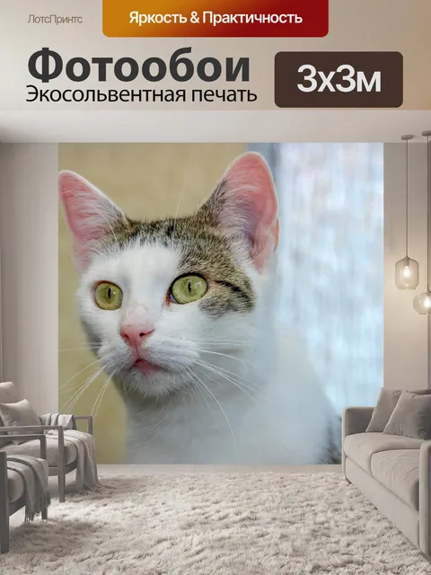 Фотообои Кот