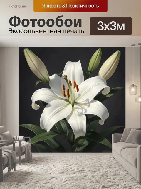 Фотообои Белая лилия в бутонах