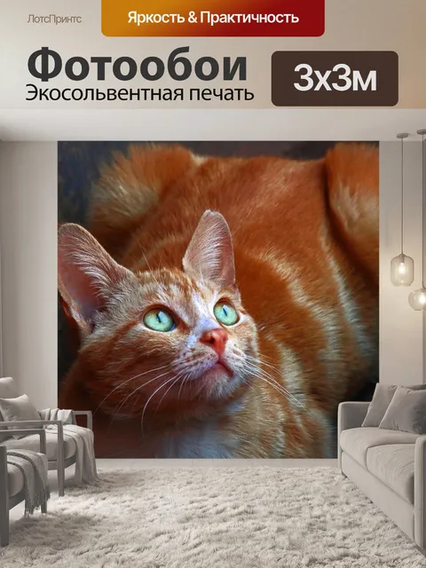 Фотообои рыжий кот с зелеными глазами смотрит