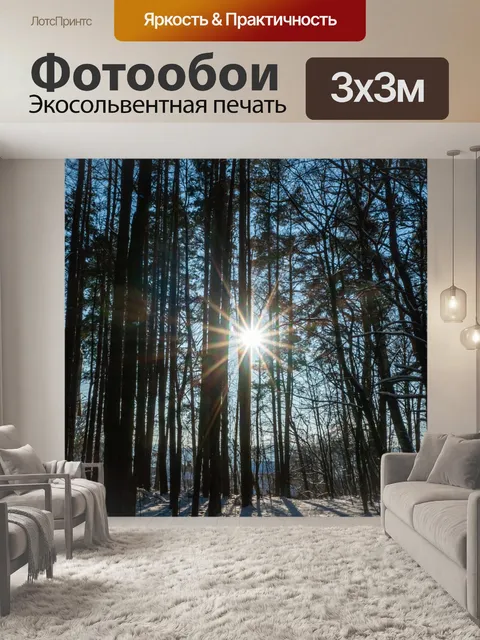 Фотообои Зима