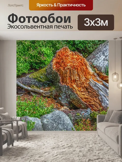 Фотообои Пень