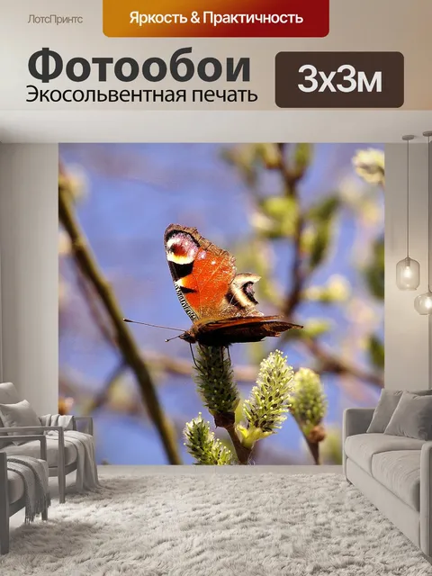 Фотообои Бабочка