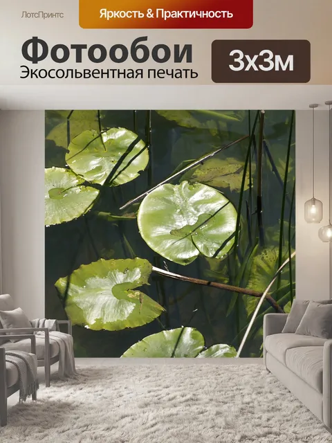 Фотообои Водяная лилия