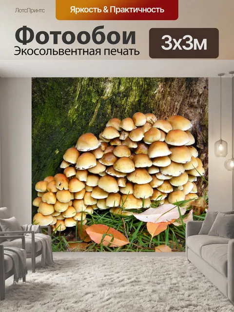 Фотообои Серные головы