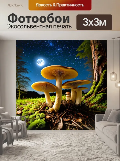Фотообои грибы грибница на фоне звездного неба, с лунным светом, проникающим сквозь деревья