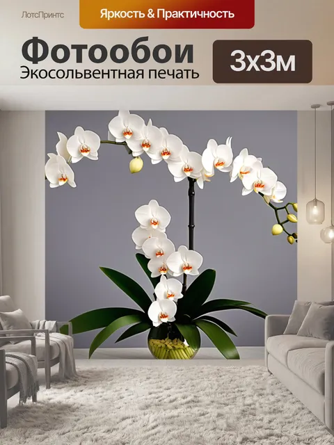 Фотообои белые в вазе