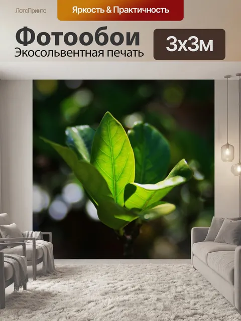 Фотообои листья гардении