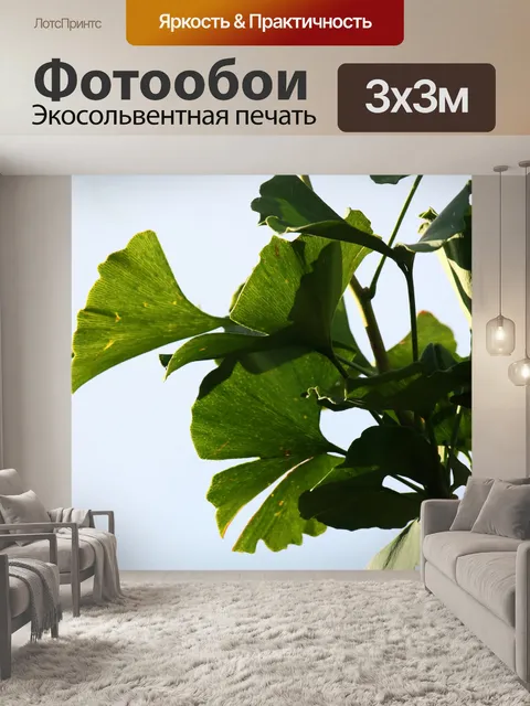 Фотообои волнистый зеленый лист гинкго билоба