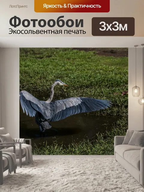 Фотообои Голубая цапля