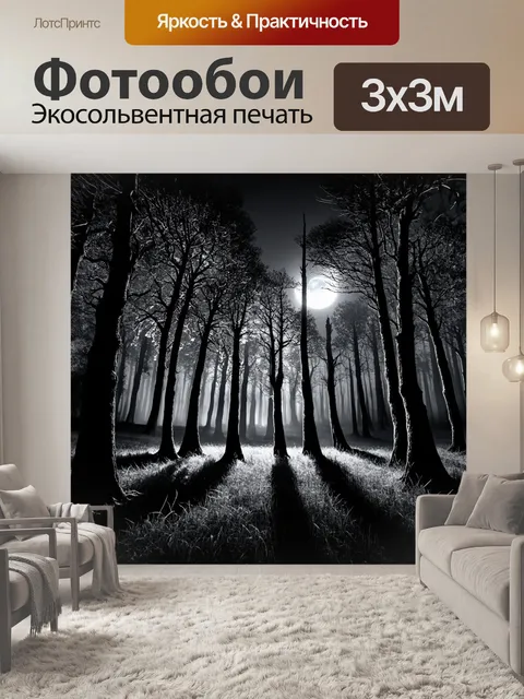 Фотообои черно-белый с изображением таинственного леса в полнолуние, где тени от деревьев образуют интересные узоры