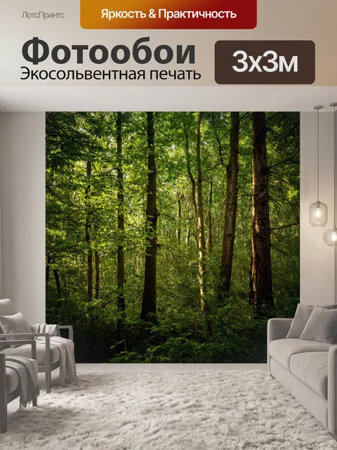 Фотообои густой лес с высокими деревьями и мягким светом, пробивающимся сквозь листву