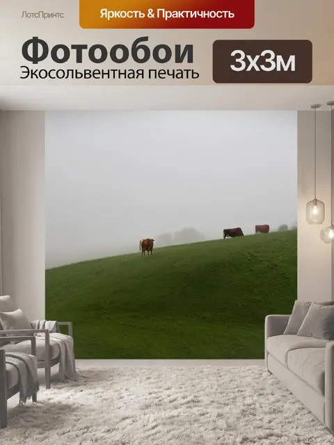 Фотообои густые туманы поднимаются рано утром на зеленом холме, где коровы мирно травятся